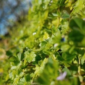 Meet your Posher, Michele